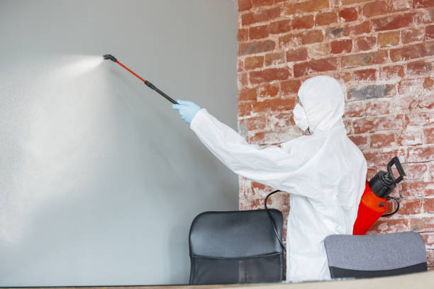 Best Post-Remediation Verification Testing  in Pawhuska, OK